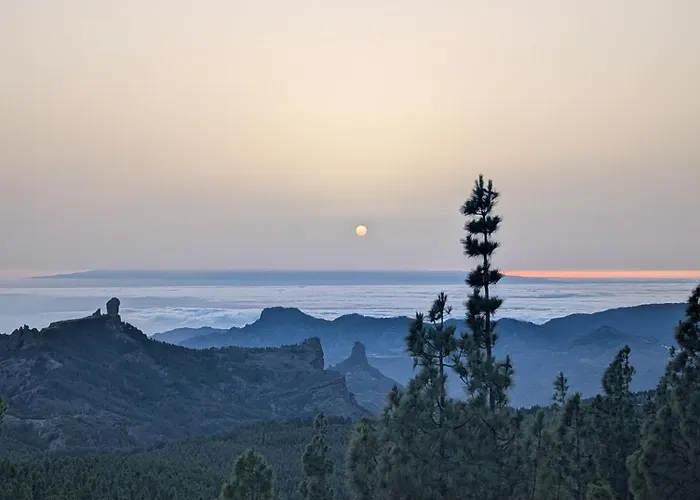 Hostel Tamaran House